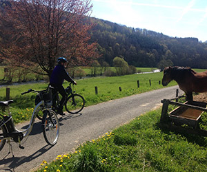 Touristik-Bleialf-Radfahren01